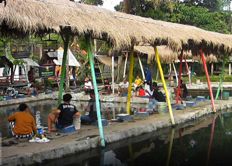 PESERTA "Mancing Gerrsama" tampak menikmati acara mancing bersama yang diadakan oleh FORWARD Jogja di Pemancingan Sigud, Gamping, Sleman, Ahad, 14 Desember 2025. (foto fornews.co/adam)