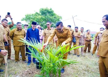 Bupati Muba, Toha Tohet, saat menanam bibit kelapa sawit di kawasan lahan aset Pemkab Muba di belakang Politeknik Sekayu itu, Selasa (24/2/2026). (fornews.co/foto: ist)
