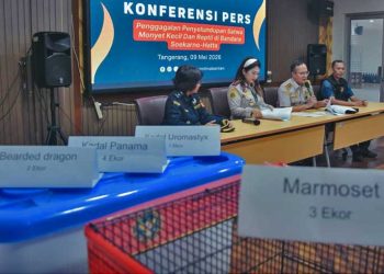 KEPALA Biro Hukum dan Humas Barantin, Hudiansyah Is Nursal dan Kepala Karantina Banten, Duma Sari, memberikan keterangan kepada awak media di Tangerang, Sabtu, 9 Mei 2026. (foto fornews.co/hadi hidayat/barantin)
