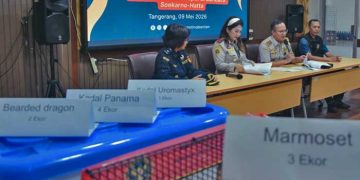 KEPALA Biro Hukum dan Humas Barantin, Hudiansyah Is Nursal dan Kepala Karantina Banten, Duma Sari, memberikan keterangan kepada awak media di Tangerang, Sabtu, 9 Mei 2026. (foto fornews.co/hadi hidayat/barantin)