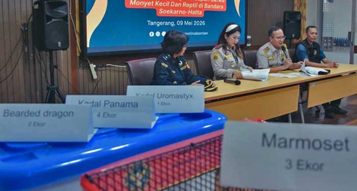 KEPALA Biro Hukum dan Humas Barantin, Hudiansyah Is Nursal dan Kepala Karantina Banten, Duma Sari, memberikan keterangan kepada awak media di Tangerang, Sabtu, 9 Mei 2026. (foto fornews.co/hadi hidayat/barantin)