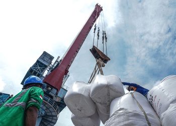 Pekerja sedang melakukan bongkar muat pupuk kemasan jenis Muriate of Potash (MOP) milik PT Pusri yang dioperatori PT Pelabuhan Tanjung Priok (PTP Nonpetikemas) Cabang Palembang di Pelabuhan Boombaru, Rabu (15/5/2026). (fornews.co/foto: Mushaful Imam)