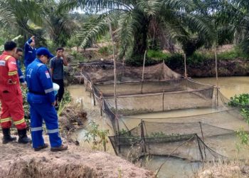 Perwakilan manajemen Medco E&P Grissik saat melihat kolam budidaya ikan lele di Desa Suka Maju, Kabupaten Muba. (fornews.co/foto: ist)