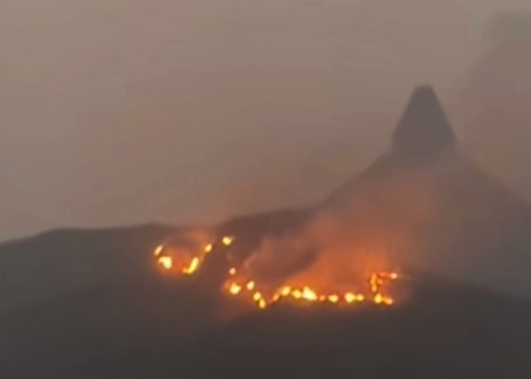 Kawasan hutan dan lahan di Bukit Serubuk di sekitar Bukit Serelo, di Desa Ulak Pandan Merapi, Kabupaten Lahat, terbakar, Minggu (23/8)2026). (fornews.co/tangkap layar)
