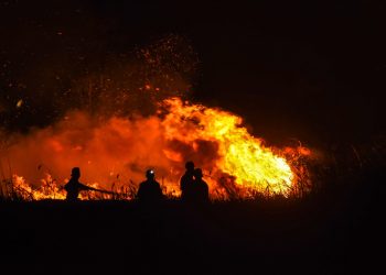 Proses pemadaman karhutla oleh petugas Manggal Agni dan BPBD Ogan Ilir di Desa Ibul Besar 3, Kecamatan Pemulutan, Kabupaten Ogan Ilir, Sumsel, yang mengancam rumah warga, Sabtu (8/8/2026). (fornews.co/Foto: CARE Indonesia)