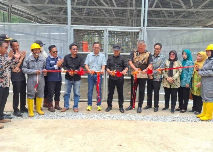 Plt Kepala DLH Muba, M Thabrani Rizki, CEO Yayasan CARE Peduli, Dr Abdul Wahib Situmorang dan saat meresmikan Maggot Center di kompleks TPA DLH Simpang B2, Kecamatan Sungai Lilin, Muba, Kamis (24/9/2026). (fornews.co/ist)